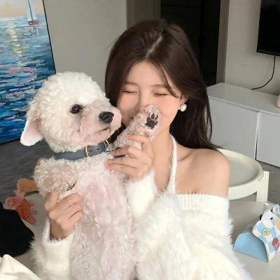 赌豪