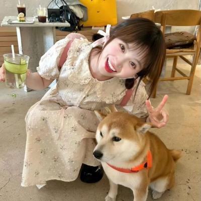 结婚白皮书